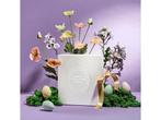 Veiling - 8 Days of Happy Easter Moments - Goodiebox, Gebruikt