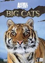 Animal Planet: Big Cats DVD (2010) Dave Salmoni cert E 3, Zo goed als nieuw, Verzenden