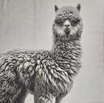 ARAZZO Alpaca exclusief in jacquard van katoen en alpaca -