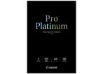 Canon PT-101 Pro Platinum Pro 300g/m2 A3 20 vel, Audio, Tv en Foto, Fotografie | Fotopapier, Nieuw, Ophalen of Verzenden