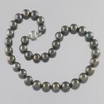 Halsketting - 14 karaat Witgoud Parel - Parel, Nieuw