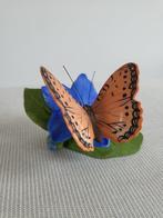 Collectie met dierenthema - Phalanta Eurytis – De Vlinders