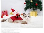 Kerstkleding voor de hond of kat (Kerstmis), Ophalen of Verzenden, Nieuw, Overige hondenkleding