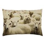canvas kussen schapen 40x60cm, Verzenden, Nieuw