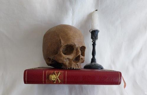 Ried Gould - sculptuur, Mémento Mori - 15.5 cm - Mémento, Antiek en Kunst, Antiek | Boeken en Bijbels