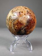 Prachtige fossiele bol - Fossiel fragment - Ammonite - 6.8, Verzamelen