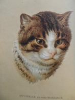 Jules Champfleury = Jules François Félix Husson - Edition de, Antiek en Kunst