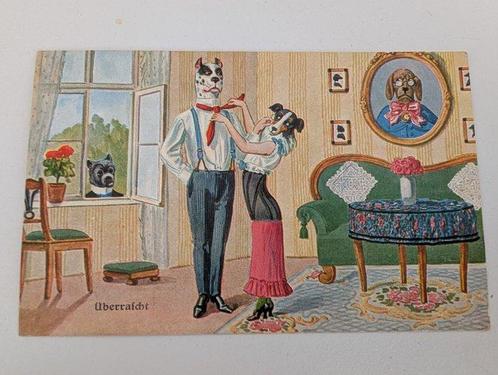Oude postcards van honden en katten - oude series,, Verzamelen, Ansichtkaarten | Buitenland