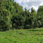 Woning te huur in Doetinchem - 30 m² - 1 kamer(s), Huizen en Kamers, Huizen te huur, Overige soorten, Doetinchem, Gelderland