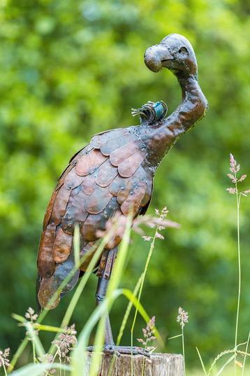 Bieden - beeld van een roofvogel beschikbaar voor biedingen
