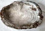 Kom - Bowl - Versteend hout - schaal, Nieuw