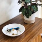 My Baby Duck, Verzenden, Nieuw