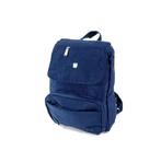 Nylon trendy daypack backpack WEST Blauw, Sieraden, Tassen en Uiterlijk, Tassen | Rugtassen, Nieuw, Verzenden