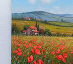 Raimondo Pacini (1974) - Flowers field in Tuscany landscape, Antiek en Kunst, Kunst | Schilderijen | Klassiek