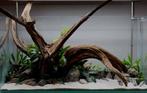 Fine sinking wood 50-65cm - Aquarium decoratie mangrove hout, Dieren en Toebehoren, Vissen | Aquaria en Toebehoren, Nieuw, Plant(en), Steen of Hout