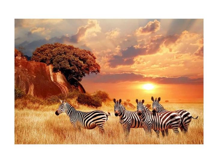 Glasschilderij Afrikaanse Savanne | 010, Huis en Inrichting, Woonaccessoires | Overige, Nieuw, Ophalen of Verzenden