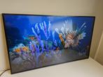 55 inch LED LG 55SM5KC-B grote voorraad