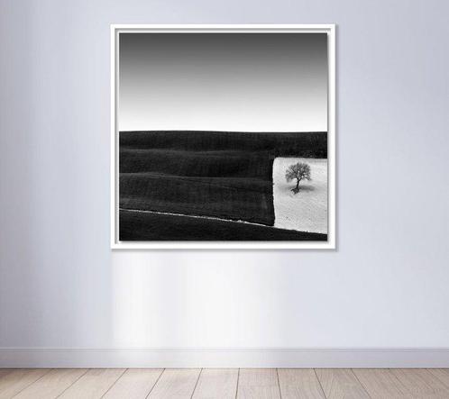 Rosario Civello - Tree in a Square, Antiek en Kunst, Kunst | Schilderijen | Modern