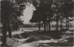 VASSE - Natuurschoon Springendal, Verzamelen, Verzenden, Gelopen