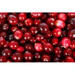 Cranberry (Veenbes) - 25:1 - 100 capsules a 540mg, Verzenden, Nieuw, Poeder of Drank