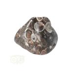 Turitella Agaat trommelsteen Nr 33 - 17 gram, Verzenden, Nieuw