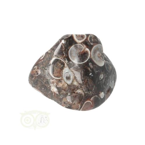 Turitella Agaat trommelsteen Nr 33 - 17 gram, Sieraden, Tassen en Uiterlijk, Edelstenen, Nieuw, Verzenden