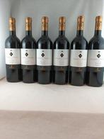 2022 Tenuta Guado al Tasso - Toscane, Bolgheri Superiore - 6, Nieuw