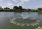 Osaka professional Floating Fountain 30 - drijvende fontein, Ophalen of Verzenden, Nieuw, Vijverpomp