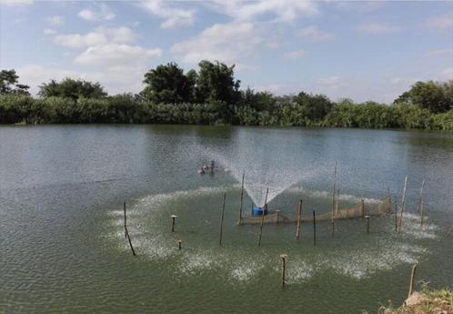 Osaka professional Floating Fountain 30 - drijvende fontein, Tuin en Terras, Vijver-toebehoren, Vijverpomp, Nieuw, Ophalen of Verzenden