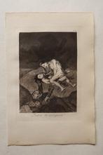 Francisco José De Goya y Lucientes (1746-1828) after -