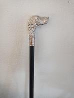 Decoratief ornament - Hondenkop - Hoofd van Setter