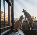 Kattennet: Voor elk balkon een oplossing!, Nieuw