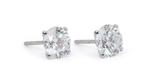 Oorbellen - 18 karaat Witgoud - 3.02ct. tw. Diamant, Nieuw