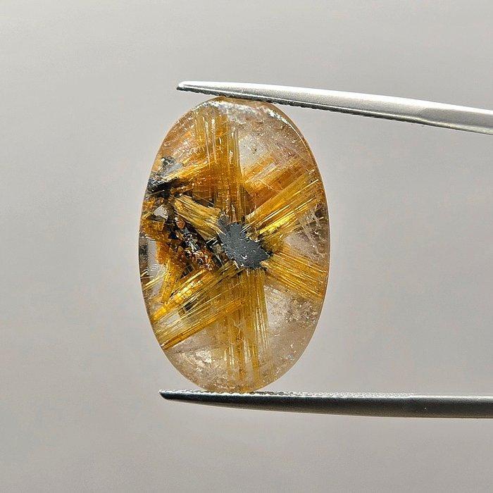 Kwartssteen met rutilster en kern in natuurlijk hematiet,, Verzamelen, Mineralen en Fossielen