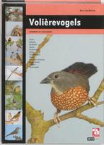 Volièrevogels 9789058216205 Adri van Kooten, Boeken, Verzenden, Gelezen, Adri van Kooten