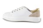 Feyn Sneakers in maat 43 Wit | 10% extra korting, Kleding | Dames, Schoenen, Feyn, Verzenden, Wit, Nieuw