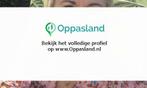 Ik ben elvira, 48 jaar oud en ik zoek oppaswerk in Berkel...