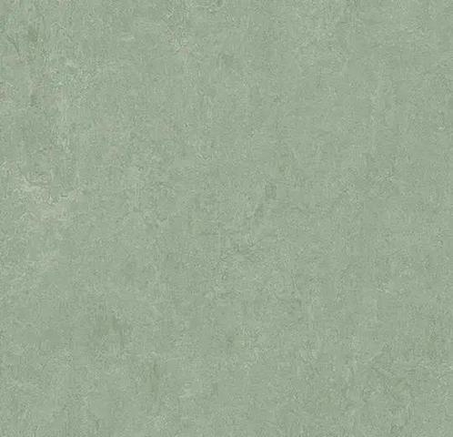 Forbo Marmoleum Fresco 3891 sage, Huis en Inrichting, Stoffering | Vloerbedekking, Verzenden