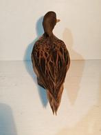 Alzavola uit Chili Taxidermie volledige montage - Anas, Nieuw