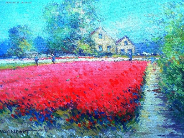 Van Noort (XX-XXI) - Kleurig bollenveld te Hillegom, Antiek en Kunst, Kunst | Schilderijen | Klassiek