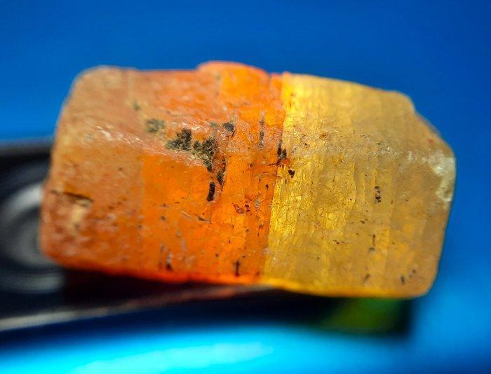 19,4 ct RARE onbehandelde natuurlijke bicolore saffier -, Verzamelen, Mineralen en Fossielen