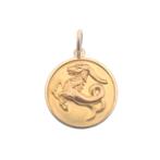 Gouden sterrenbeeld hanger; Steenbok (kettinghanger), Ophalen of Verzenden, Gebruikt, Goud, Overige merken