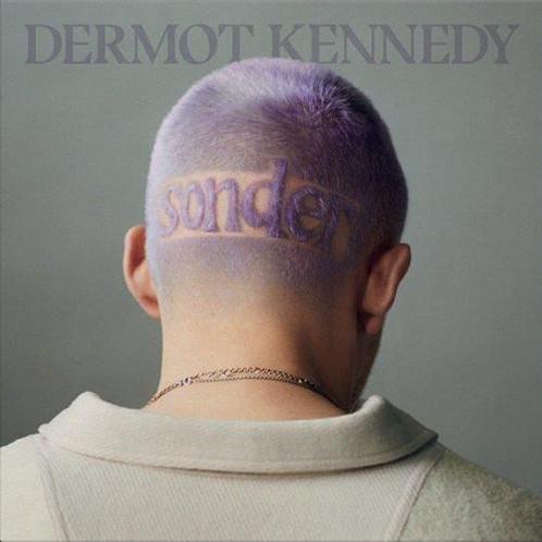 LP nieuw - Dermot Kennedy - Sonder, Cd's en Dvd's, Vinyl | Pop, Verzenden