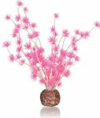 Bonsai bal roze Oase - biOrb, Nieuw, Verzenden