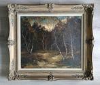 Peter van Tongerloo (1946) - Berkenbos, Antiek en Kunst, Kunst | Schilderijen | Klassiek