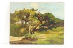 G.Pletser (1871-1941) - Bomen