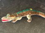 Steiff: Gaty de krokodil, fout EAN nummer, zeldzaam -