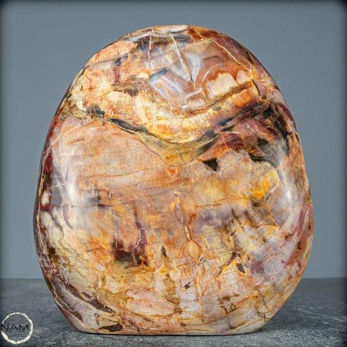 Natuurlijke vrije vorm van versteend hout- 3335.35 g, Verzamelen, Mineralen en Fossielen