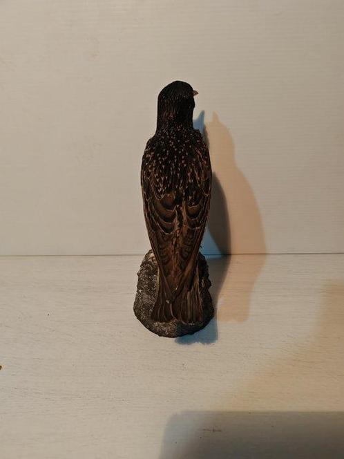 Aasgier Taxidermie volledige montage - Sturnus vulgaris - 28, Verzamelen, Dierenverzamelingen