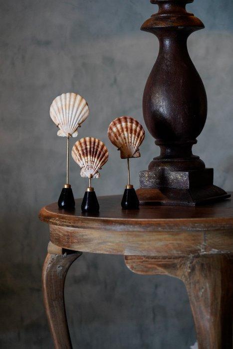 Indrukwekkende set van 3 scallop shell op op maat gemaakte, Antiek en Kunst, Kunst | Designobjecten
